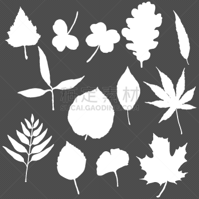 set white silhouette tree leaves