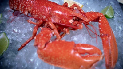 冰上 鱼和海鲜，龙虾娃娃