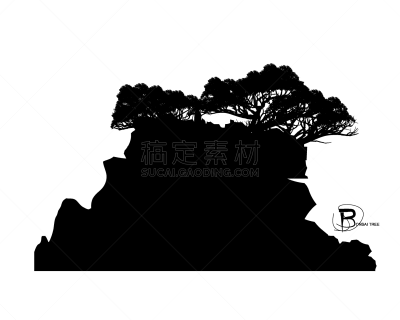 盆景,华丽的,复叶,折纸工艺,环境,公园,自然美,榆树,小的