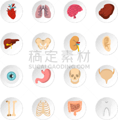 平坦的,计算机图标,分离着色,生物学,矢量,人,膀胱,布置,收集