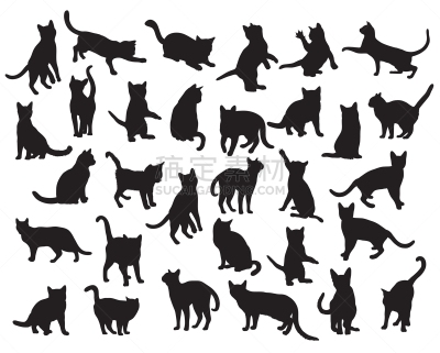猫,宠物,秘密行动,图像,哺乳纲,动物,设计元素,矢量,坐,剪影