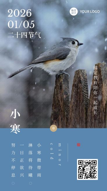 小寒节气祝福宣传海报预览效果