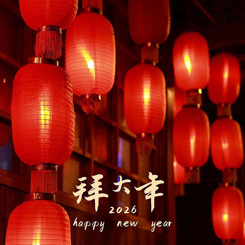 春节新春新年晒图晒照PLOG模板