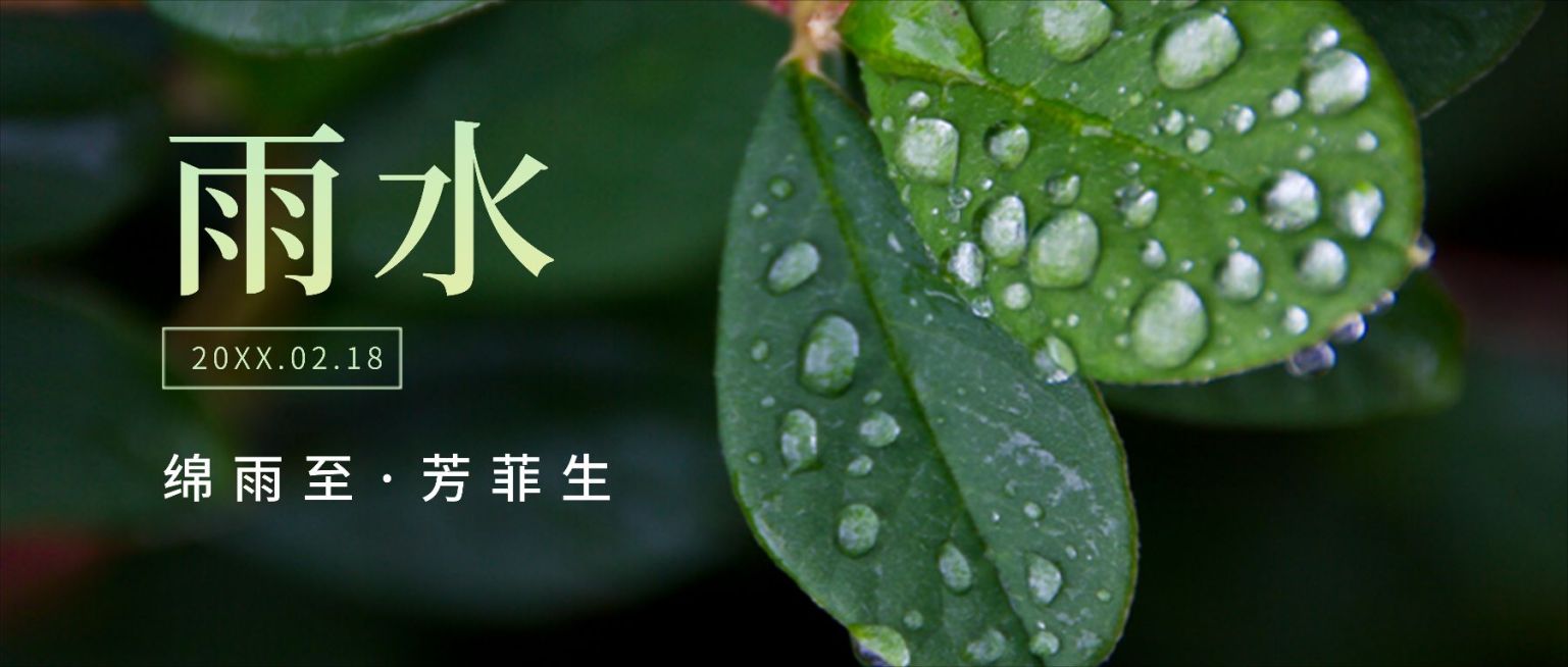 雨水节气祝福公众号首图实景水滴预览效果