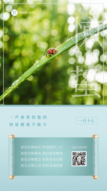 金融保险惊蛰节气祝福实景海报预览效果