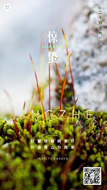 惊蛰节气祝福手机海报预览效果