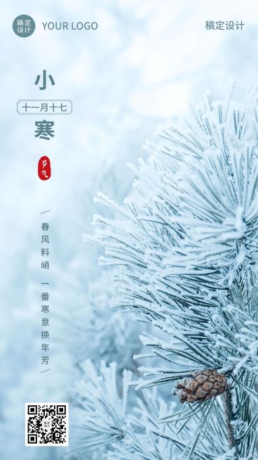 小寒节气祝福手机海报预览效果
