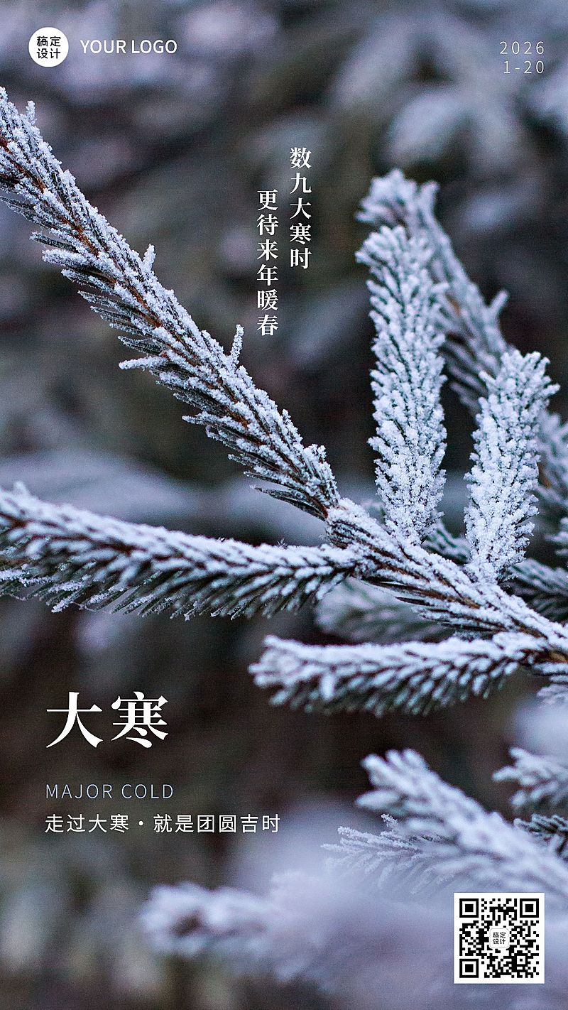大寒节气树枝实景特写祝福手机海报