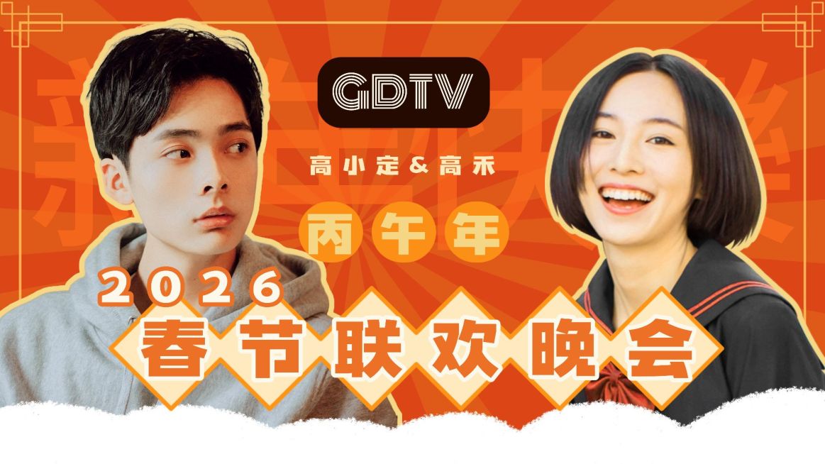 喜庆春节晚会表演娱乐宣传横版视频封面预览效果