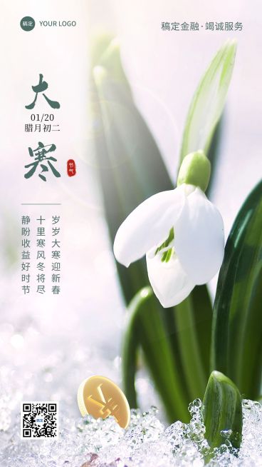 大寒金融保险节气祝福实景合成风手机海报预览效果