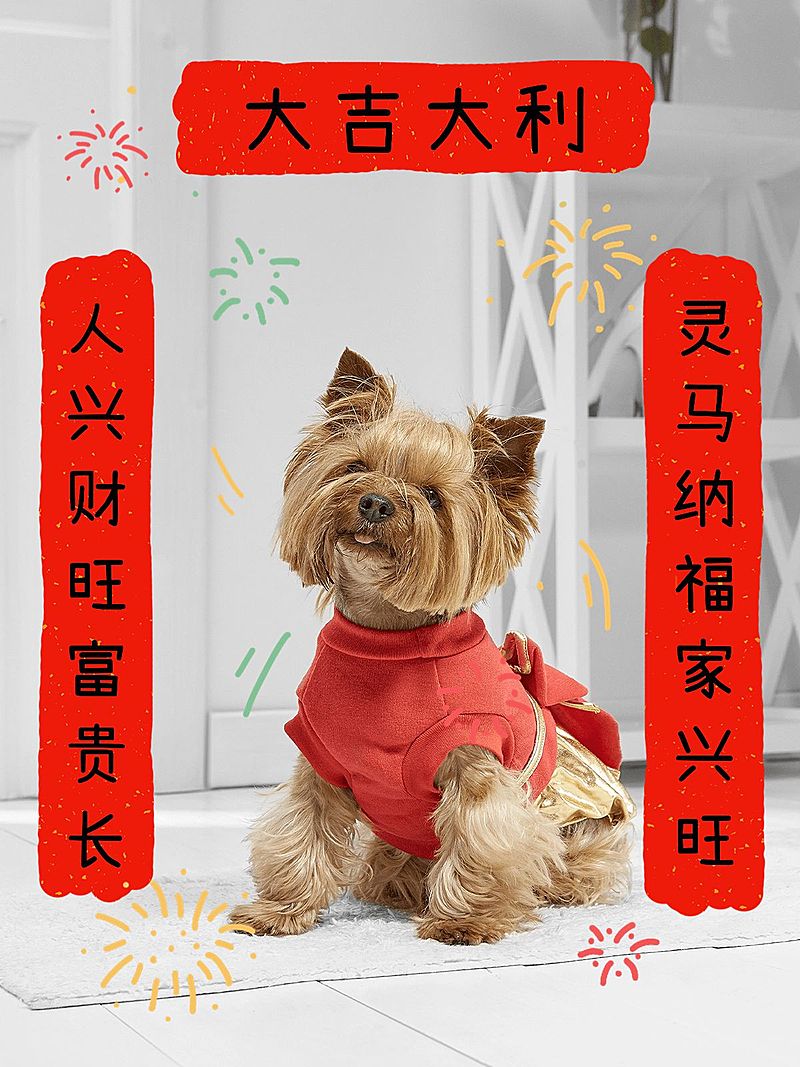 春节春晚除夕夜新年宠物晒照对联plog