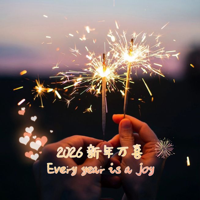 元旦新年跨年晒照PLOG预览效果