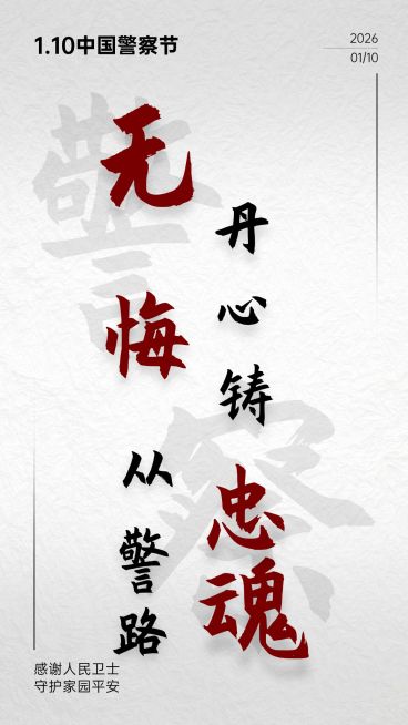 中国人民警察节110祝福大字手机海报预览效果