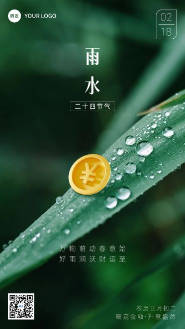雨水金融保险节气祝福问候实景合成手机海报预览效果