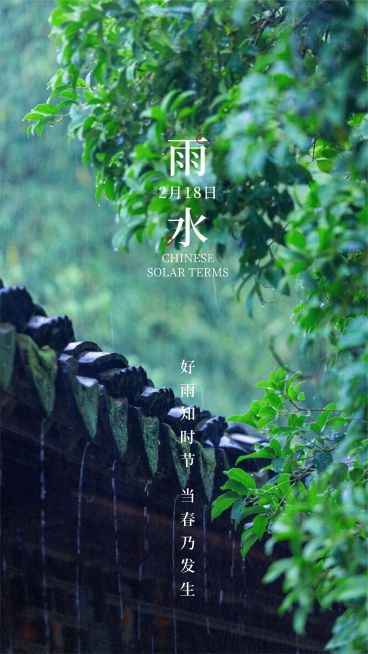 雨水节气祝福实景屋檐植物清新预览效果