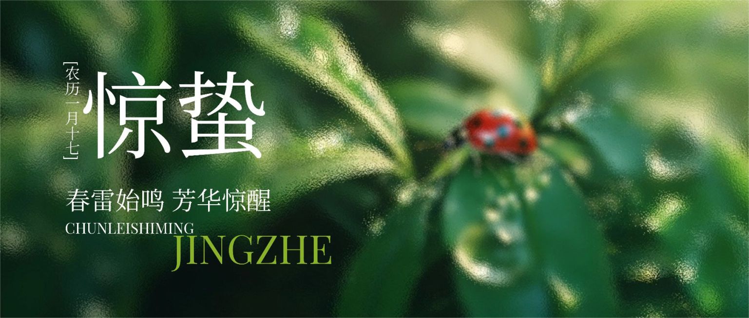 惊蛰春天节气祝福公众号首图AIGC预览效果
