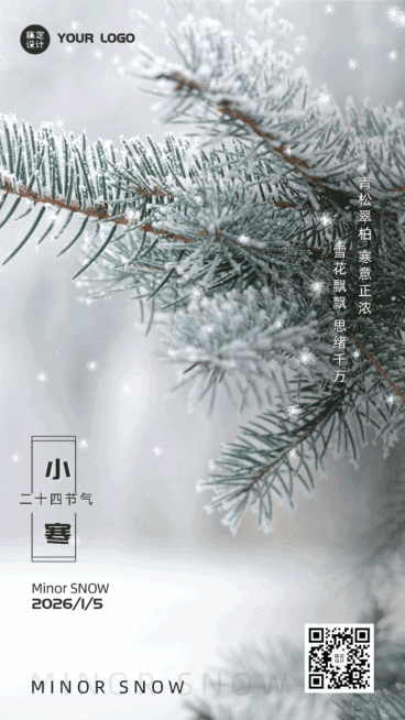 小寒节气实景飘雪GIF动态海报预览效果
