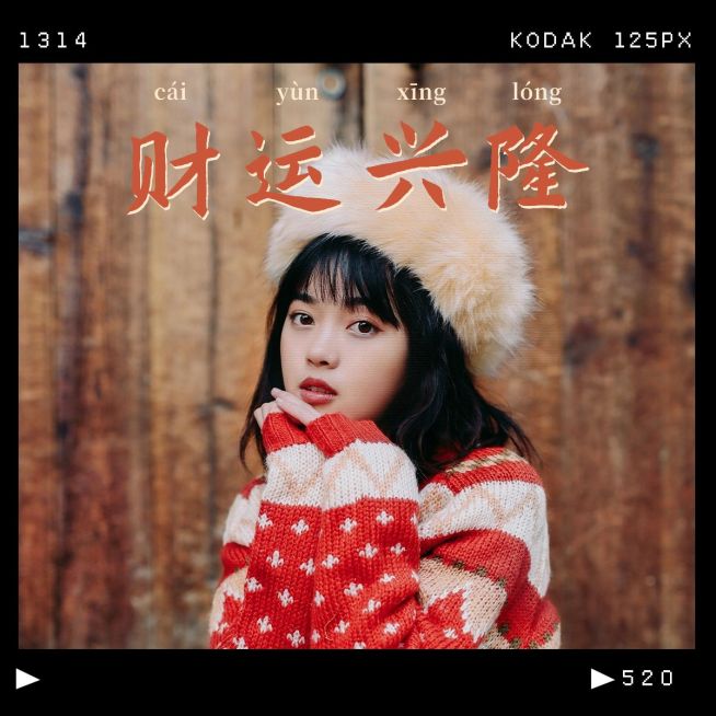 春节新年趣味个人晒照PLOG预览效果