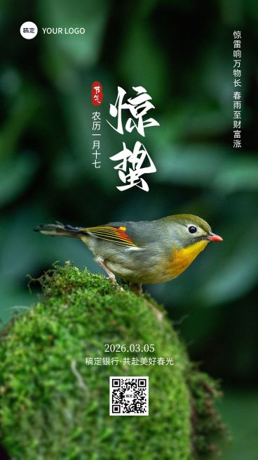 惊蛰金融保险节气祝福问候实景风手机海报预览效果
