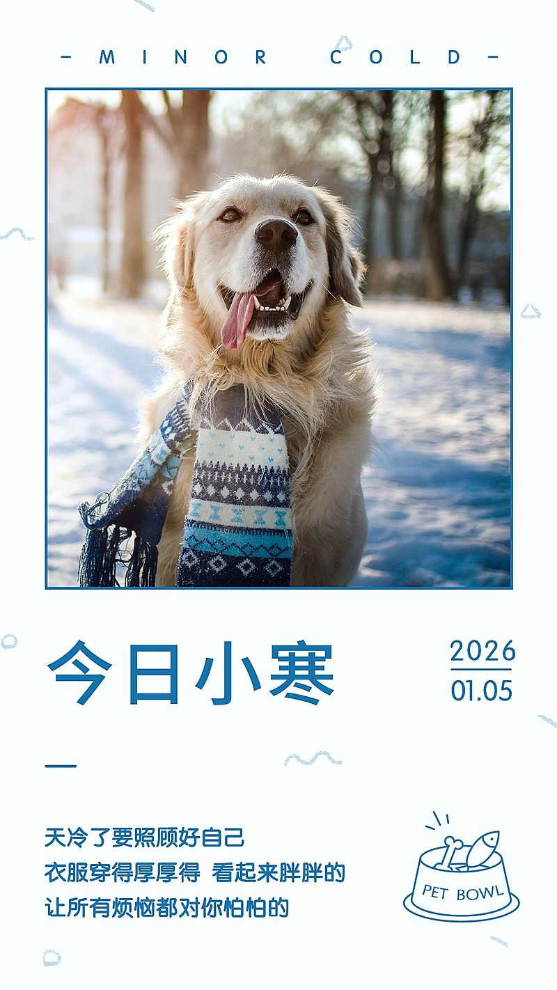 小寒节气萌宠日签简约手绘创意可爱手机海报