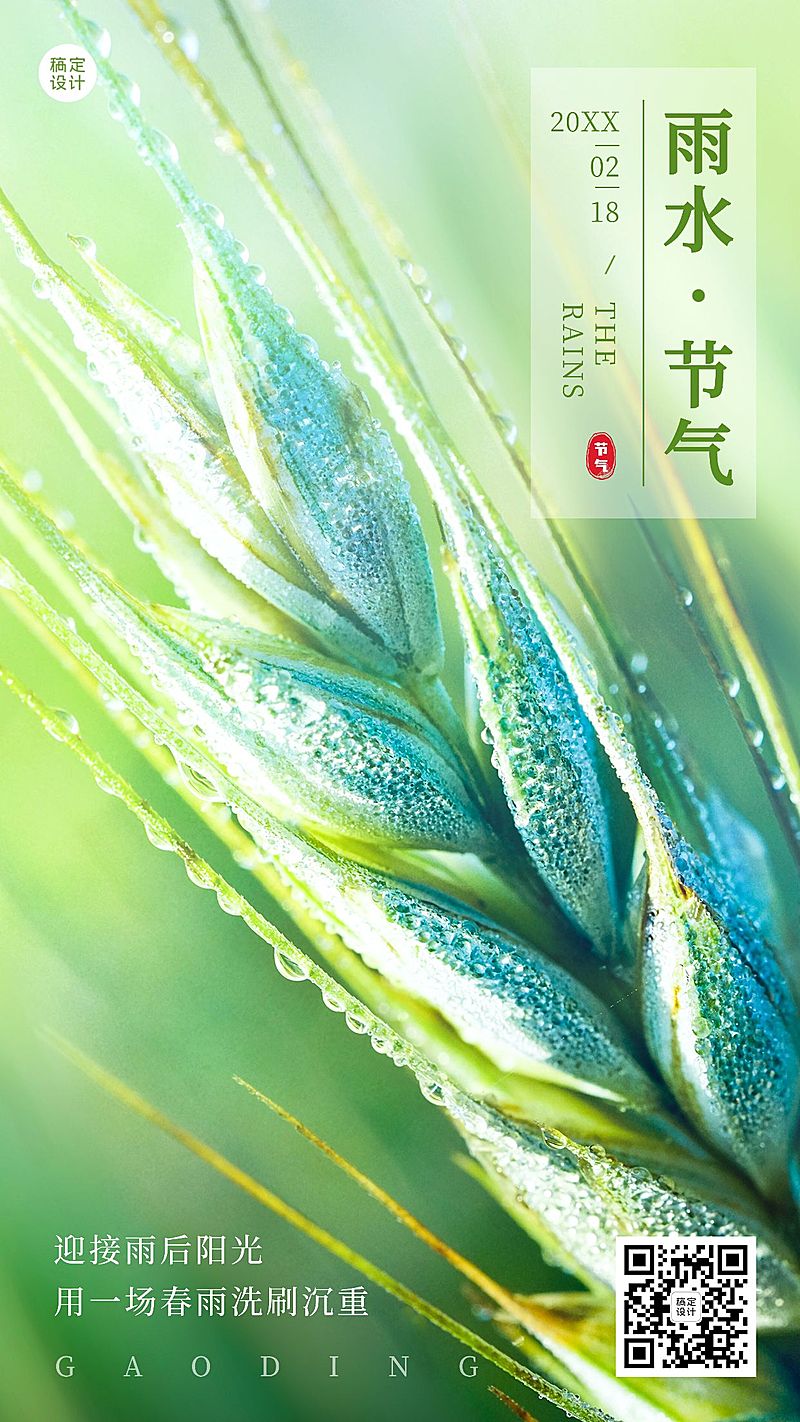 雨水节气清新实景手机海报