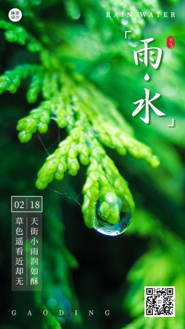 雨水节气清新实景手机海报预览效果