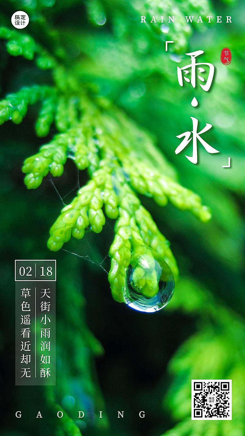 雨水节气清新实景手机海报