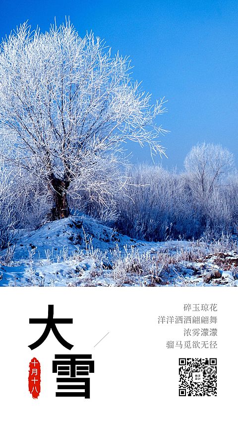 大雪二十四节气实景手机海报