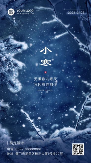 小寒节气祝福冬日冰霜雪花手机海报预览效果
