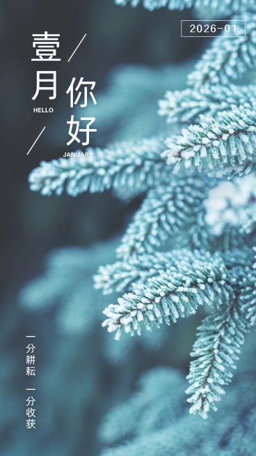 通用1月你好祝福文艺手机海报预览效果