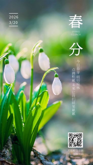 金融保险春分硕果累累节气海报预览效果