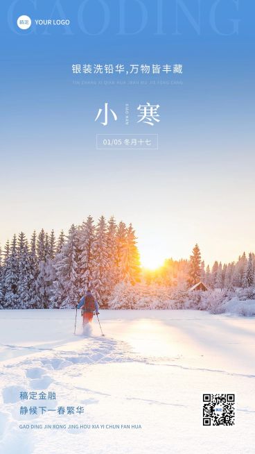 小寒金融保险节气祝福实景风手机海报预览效果