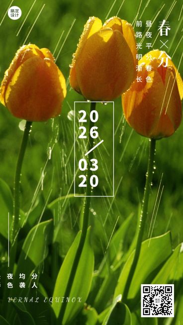 春分节气祝福手机海报预览效果