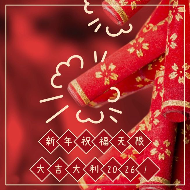 春节新春新年晒图晒照PLOG模板预览效果