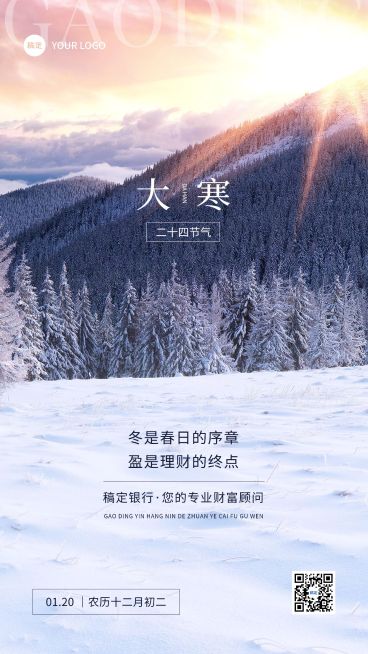 大寒金融保险节气祝福实景风手机海报预览效果