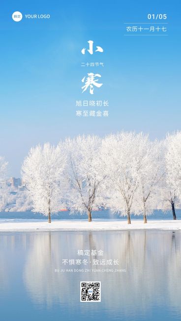 小寒金融保险节气祝福实景风手机海报预览效果