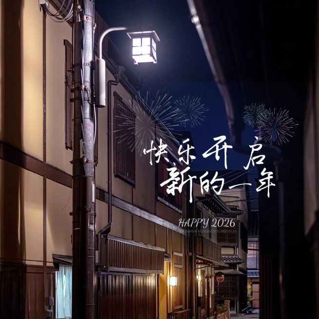 元旦新年跨年晒照PLOG预览效果