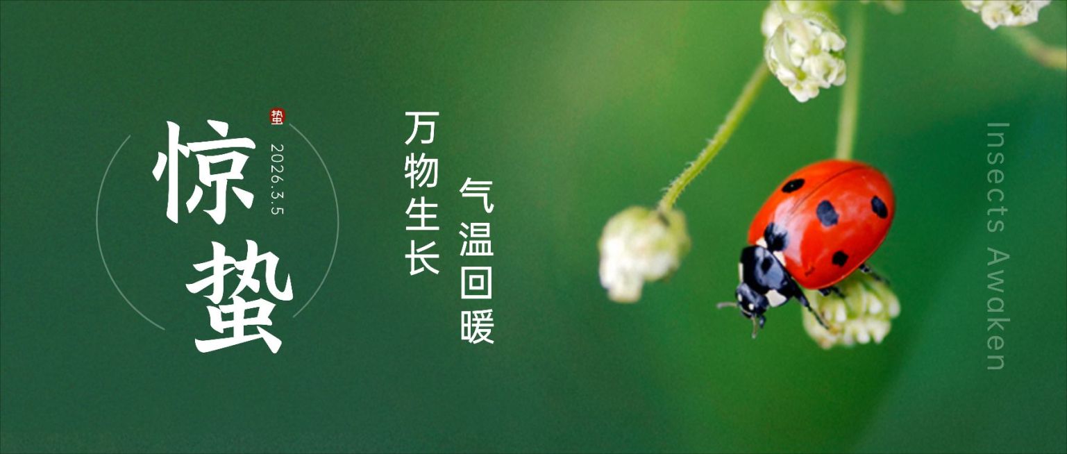 惊蛰节气祝福公众号首图预览效果