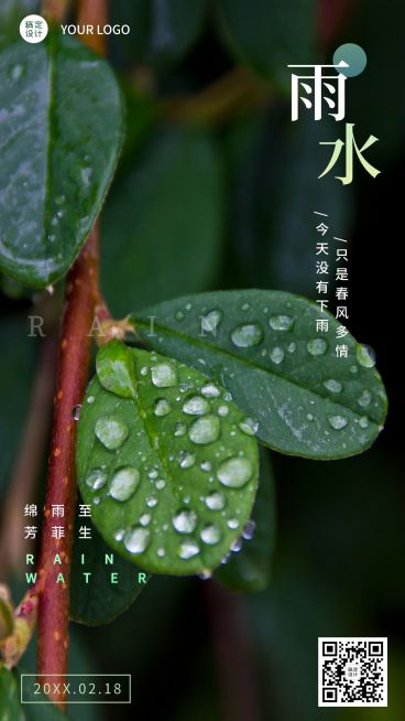 雨水节气清新实景手机海报预览效果