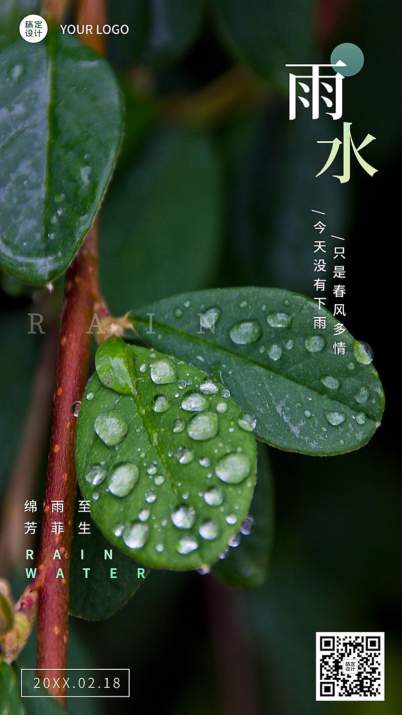 雨水节气清新实景手机海报