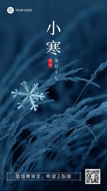 小寒节气祝福手机海报预览效果