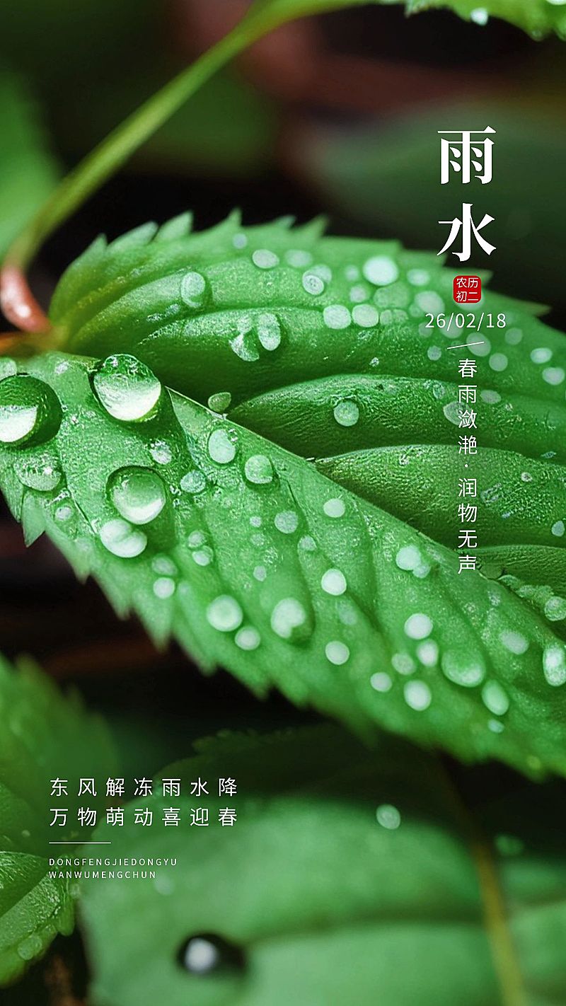 雨水节气祝福实景风手机海报AIGC