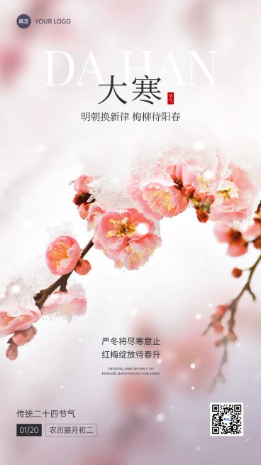 大寒金融保险节气祝福实景风手机海报预览效果