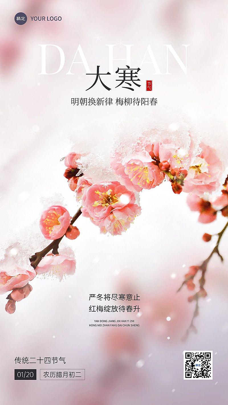 大寒金融保险节气祝福实景风手机海报