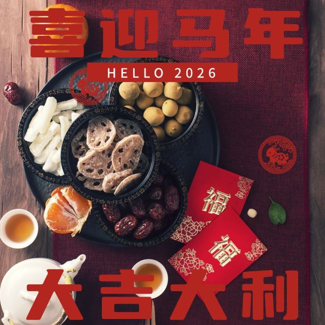 春节新春新年晒图晒照PLOG模板预览效果