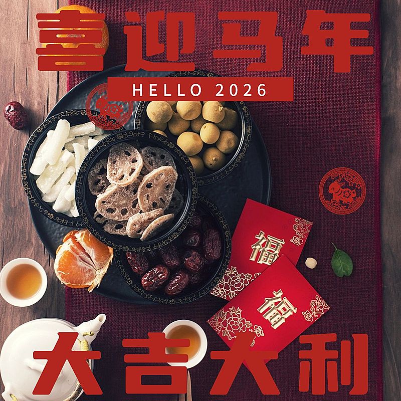 春节新春新年晒图晒照PLOG模板