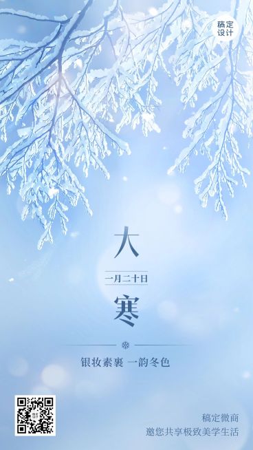 大寒节气祝福问候实景风手机海报预览效果