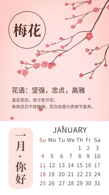 通用一月你好日历手绘手机海报预览效果