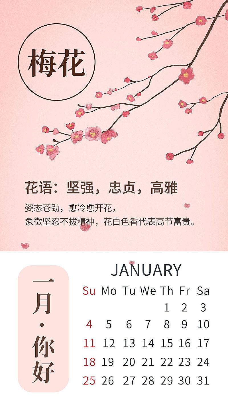 通用一月你好日历手绘手机海报