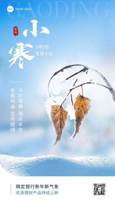 小寒金融保险节气祝福弱营销实景风手机海报预览效果